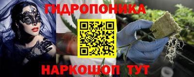 трава Новокубанск